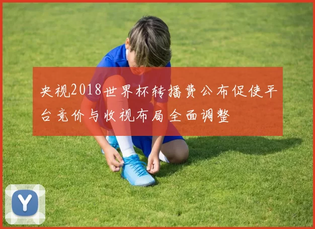 央视2018世界杯转播费公布促使平台竞价与收视布局全面调整