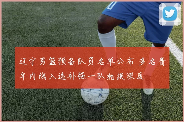 辽宁男篮预备队员名单公布 多名青年内线入选补强一队轮换深度